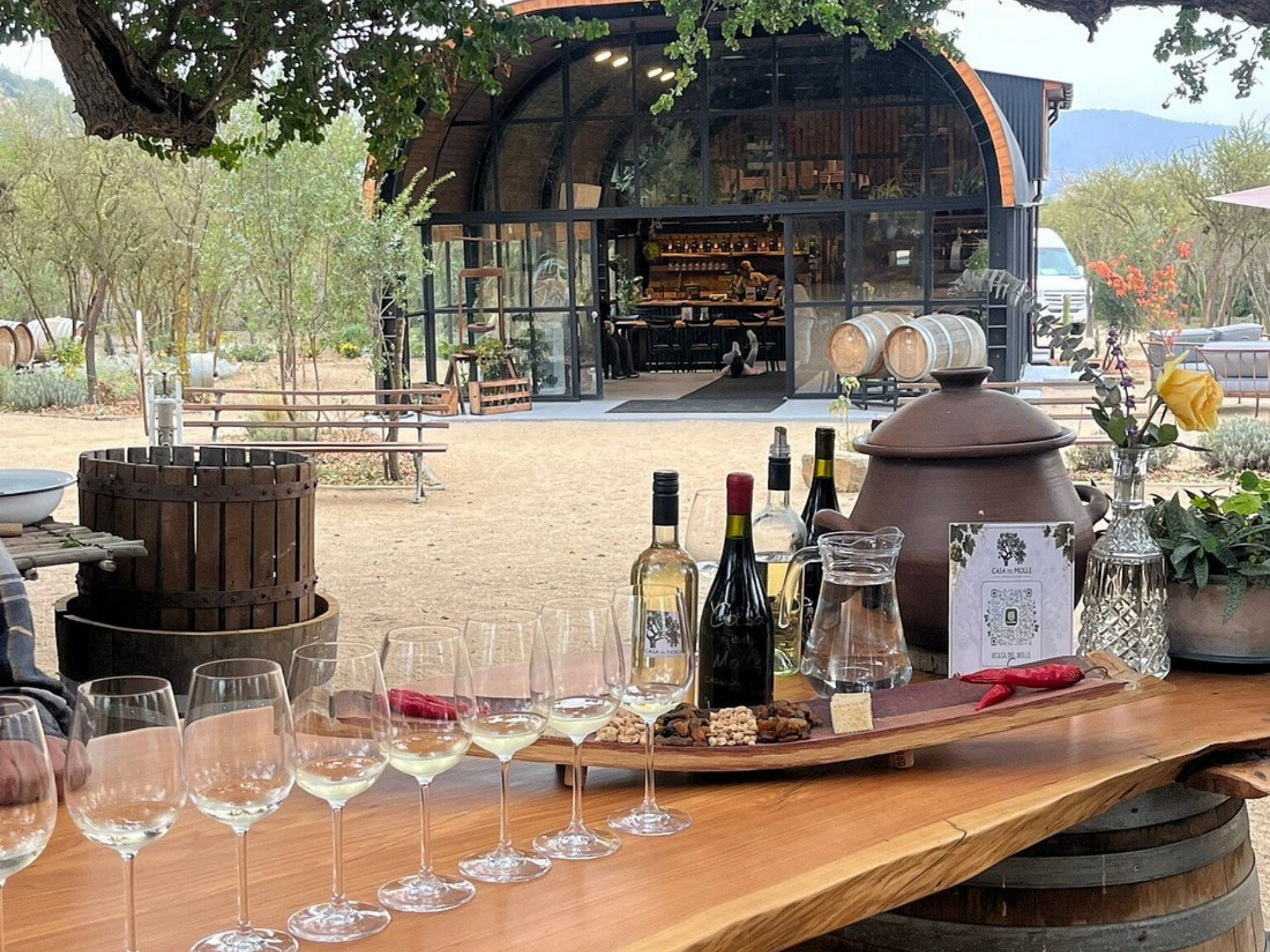 Casablanca Valley - Tasting in Wineries, Lunch at Tanino Restaurant - Image 13