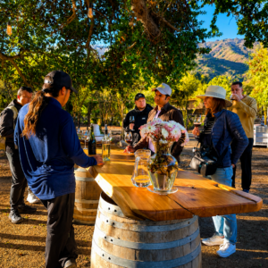 Casablanca Valley - Tasting in Wineries, Lunch at Tanino Restaurant